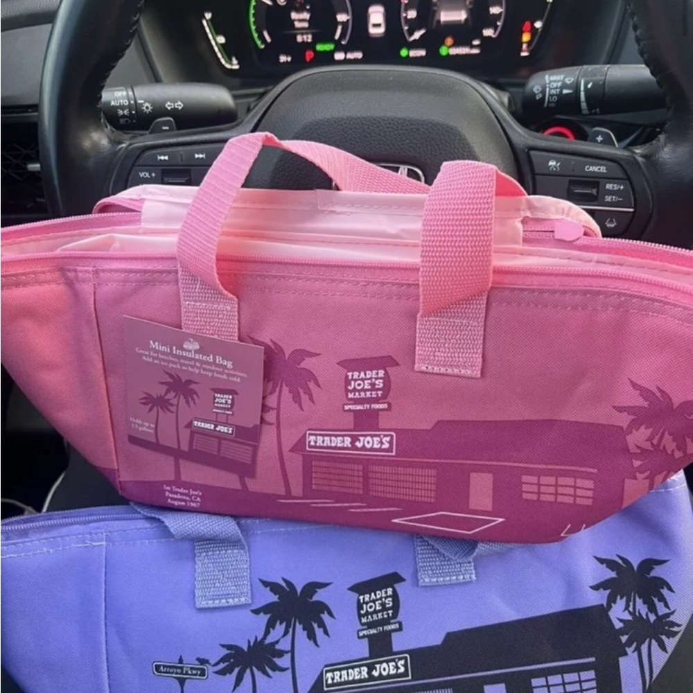 Trader Joe's Purple Mini Insulated Bag